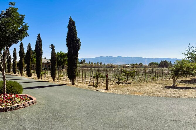 Wine Tasting and Snacks From Las Vegas - The Charcuterie Board Delight