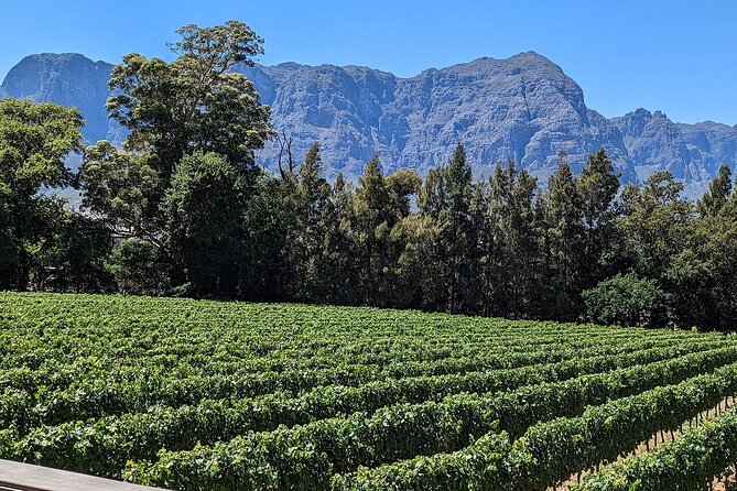 Wine Tasting in Cape Winelands Tour - Booking and Cancellation Policy