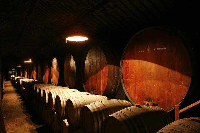 Wine Tasting - Private Half-Day Tour - Guest Reviews