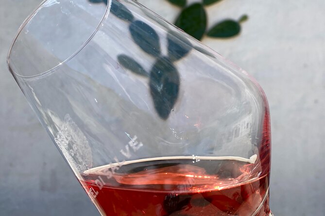 Winery Tour and Tasting in Salento - Preparing for Your Winery Experience