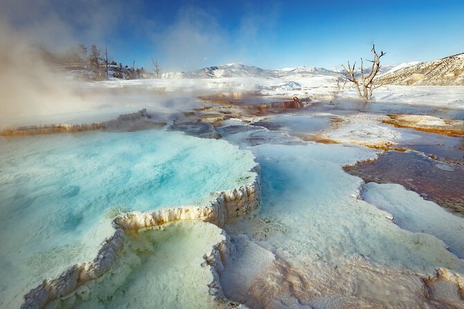 Winter Wildlife Safari Review: Experience Yellowstone's Wonders - The Sum Up