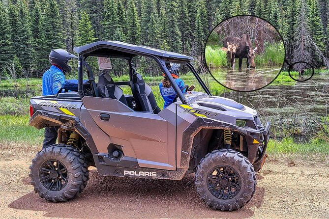 Woodland Park: 4-Hour Self-Guided Rocky Mountain Polaris UTV Tour - Tips for an Enjoyable Ride