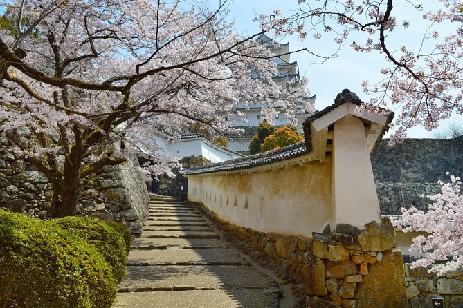 World Heritage Himeji Castle & Sake Breweries Private Tour - Booking and Pricing