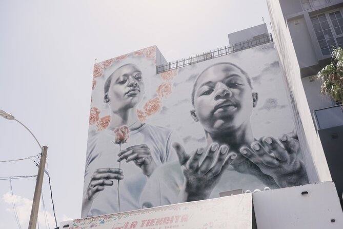 Wynwood Tour in French - Tips for Getting the Most Out of the Wynwood Tour
