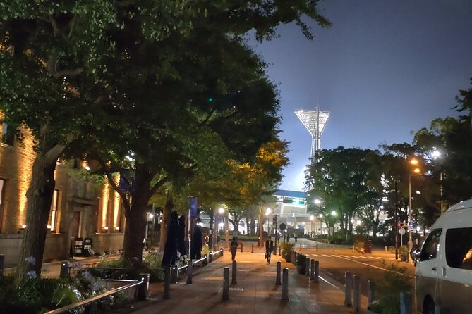 Yokohama Private Tour -Night View- - Why Choose This Tour