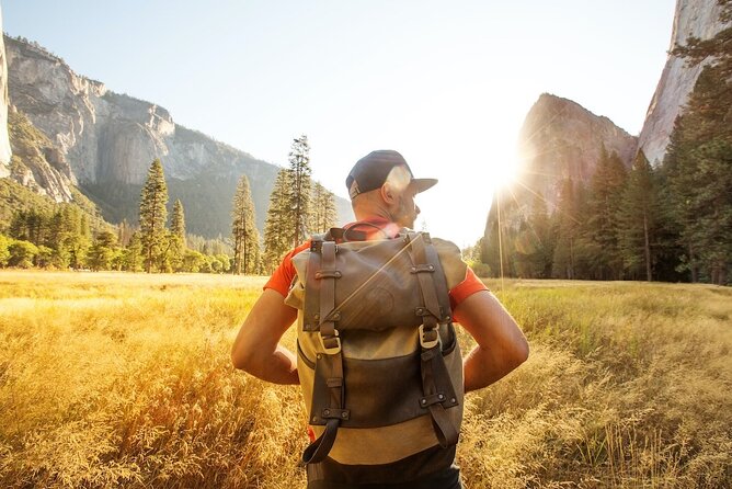 Yosemite and Giant Sequoias Day Tour