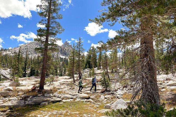 Yosemite: High Country Explorer - Private Hiking Tour - Cancellation Policy
