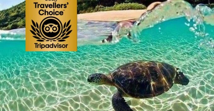 Zakynthos Private Boat: Turtles & Marathonisi Island (max5) - About the National Marine Park