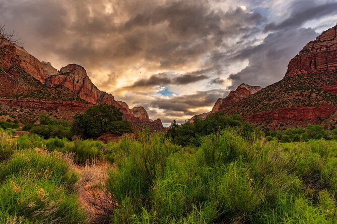 Zion National Park Self-Guided Tour Review - Recommendations and Considerations