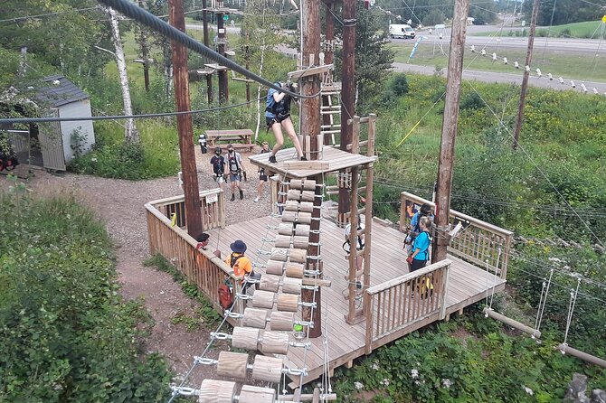 Zipline and Climb in a Forest Review - The Sum Up