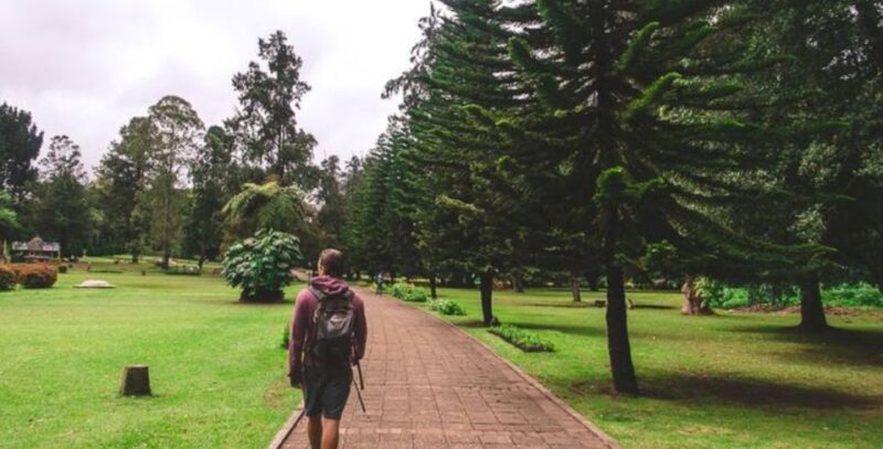 8-Day Enchanting Honeymoon Getaway - Good To Know