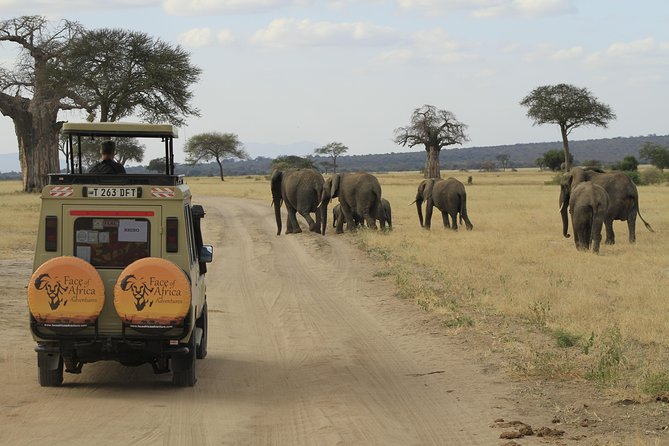 8 Days 7 Nights Private Lodge Safari - Key Points