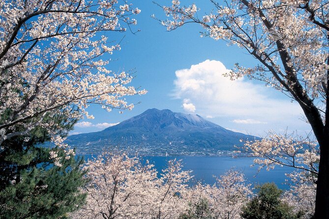 1-Day Private Kagoshima Tour by Car With a Professional Guide - Frequently Asked Questions