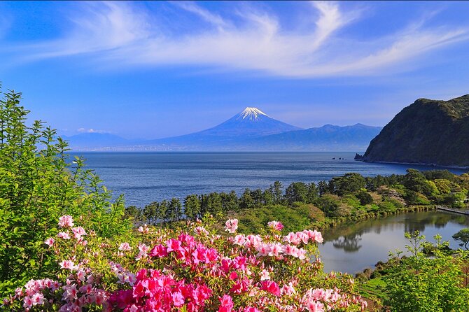 10 Days In-depth Discover Japan Deluxe Tour - How to Book and Cancellation Policy