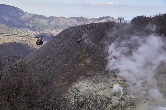 3 Day Japan Highlights Tour: Tokyo, Mt.Fuji, Nara, Kyoto, Osaka - Inclusions and Amenities