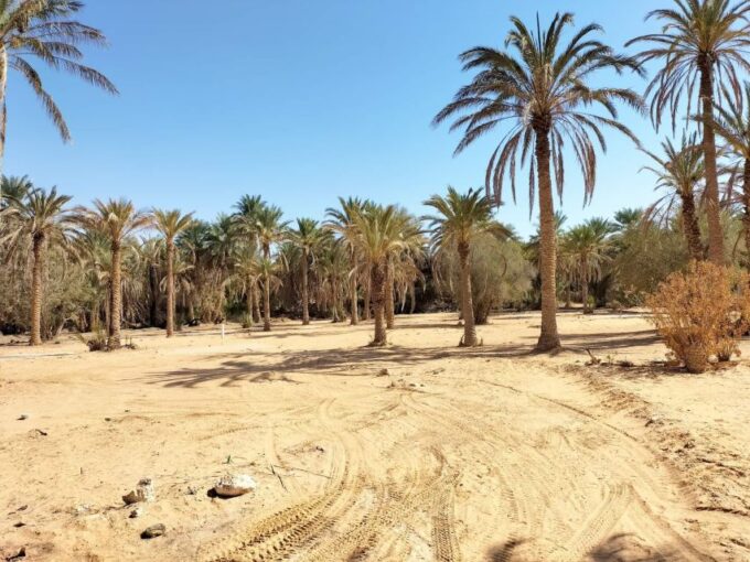 An Overnight in the Sahara (Private) - Booking and Reservation
