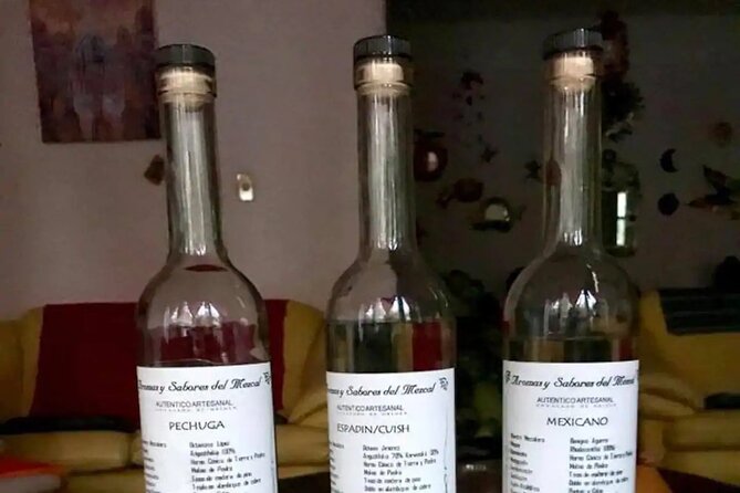 Authentic Ancestral and Artisanal Mezcal & Tequila Tasting - Tips for a Great Experience