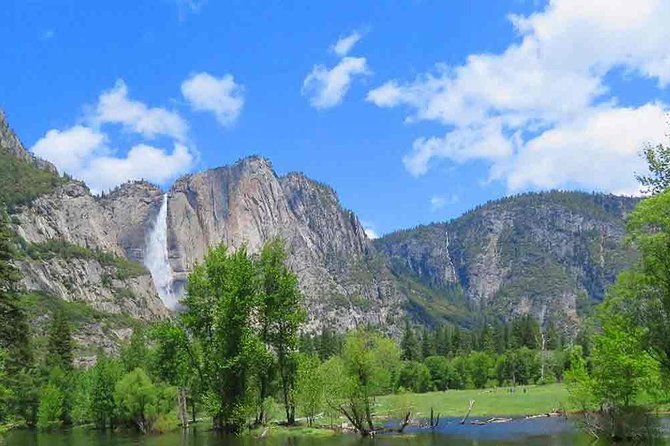 Best 1-Day Yosemite National Park Tour Review - Tour Suitability and Requirements