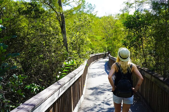 Big Cypress National Preserve Audio Tour Review - The Sum Up