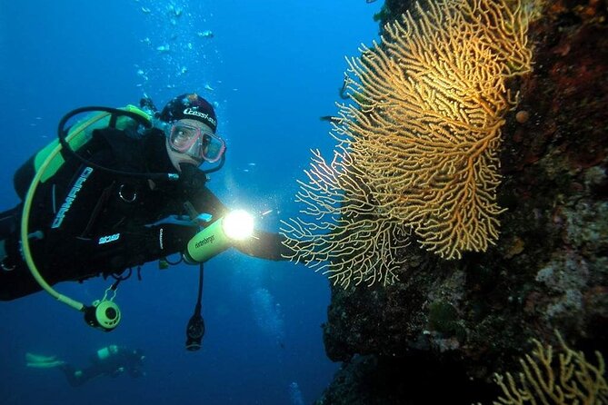 Blue Cave and Islands Private Tour From Split - Ask Away