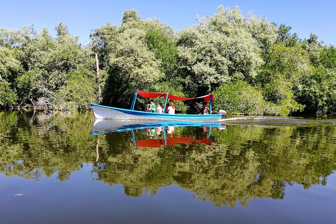 Boat Ride-Gentle Beach Beach Horseback Ride+Lunch-Crocs-Turtles - Tips for a Great Experience
