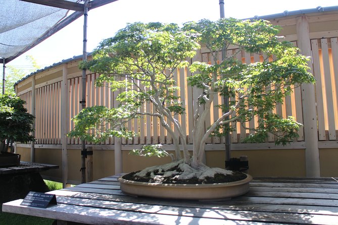 Bonsai Museum & Bonsai Experience - Gratuity Suggestions for the Tour
