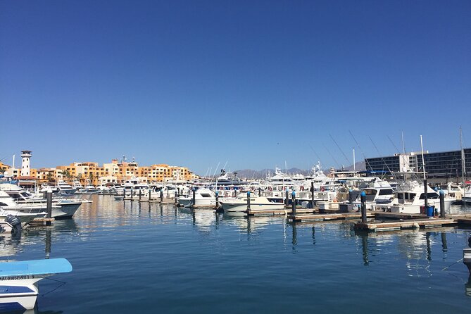 Cabo San Lucas Pirate Snorkel Tour - How to Book Your Adventure