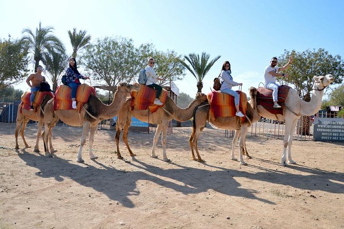 Camel Ride Adventure For Everyone - Frequently Asked Questions