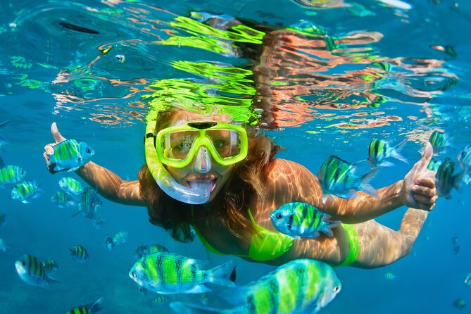 Cozumel Reef Snorkeling Tour - Tips for a Great Experience