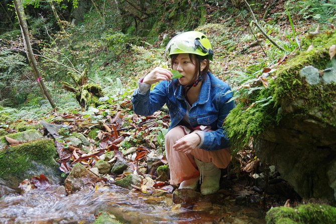 Cultivate Organic WASABI - Booking and Logistics Information