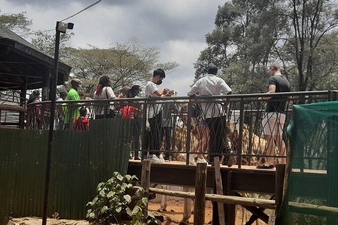 Day Tour to Nairobi National Park, Elephants, and Giraffe Center - Frequently Asked Questions