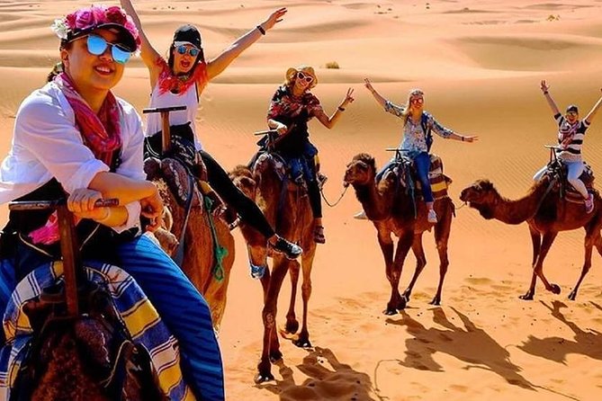 Day Trip to Mini Sahara - Frequently Asked Questions