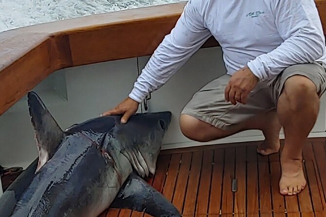 Fishing or Cruising Boston Harbor on Private Yacht Trinacria - Guest Reviews and Ratings