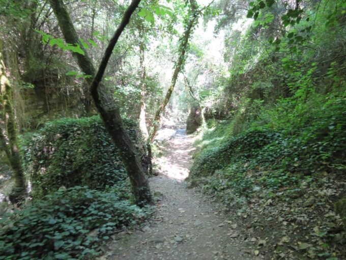 From Platanias: Guided Mountain Half Day Trip With Snack! - Therisso Village Exploration