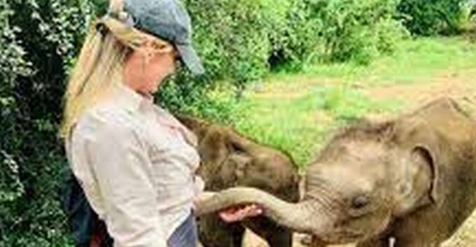 From:Galle/Mirissa Transfer to Ella With Udawalawe Safari - Reservation and Cancellation Policy