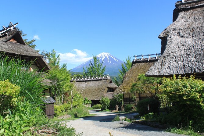 Fuji Spiritual Private Tour With Lunch and Dinner - Traveler Reviews