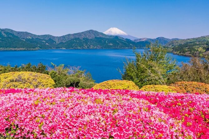 Full Day Guided Trip to Mt. Fuji and Hakone From Tokyo - Tour Highlights
