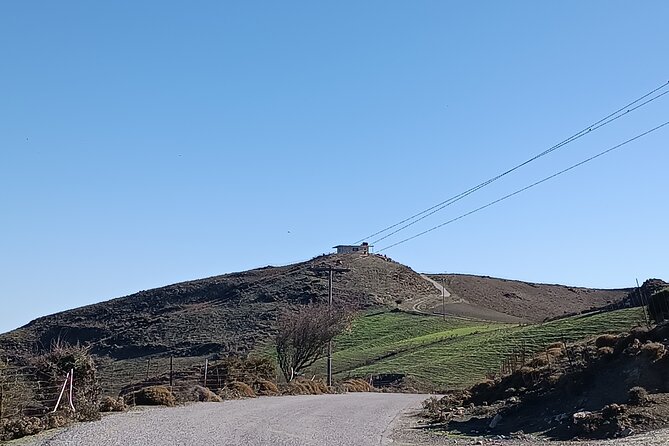 Full-Day Private Culinary Oil and Wine Tasting Tour in Crete - Booking and Cancellation Policy