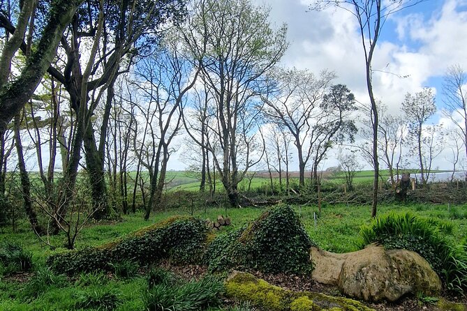 Full-Day Private Tour in South Coast of Cornwall - Highlights of the Day