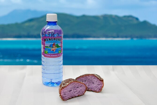 Grand Circle Island and Haleiwa 9 Hour Tour - Taste of Hawaii