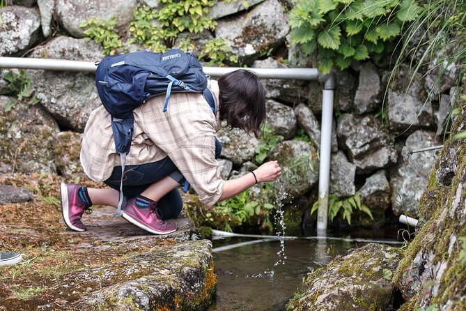 Guided Cycling Tour in Hagi With Sake Brewery Visit - Transportation and Meeting Information