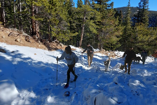 Guided Hike in Rockies Review - Concluding Thoughts