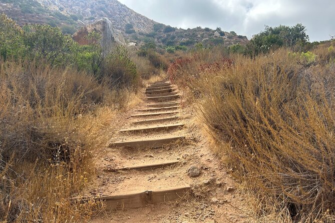 Guided Meditation, Hike, and Nature Walk in San Diego - Frequently Asked Questions