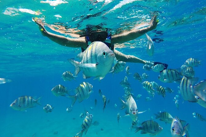 Half-Day Private Catamaran Tour in Puerto Plata - Frequently Asked Questions