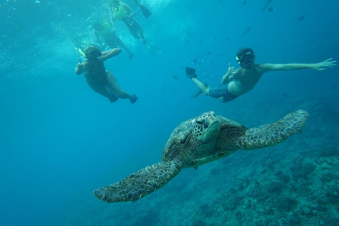 Hawaii Snorkeling With Turtles Boat Tour in Waikiki - Preparing for Your Hawaiian Adventure