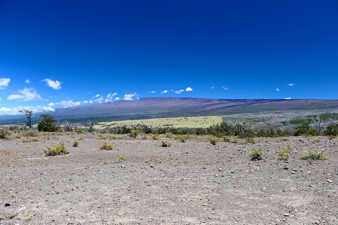 Hawaii Volcanoes National Park and Hilo Highlights Small Group Tour - Taking in Hawaiian Culture and History