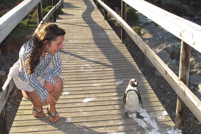 Hemel En Aarde Whale Coast + Wine Day Tour With Private Transfer - Frequently Asked Questions