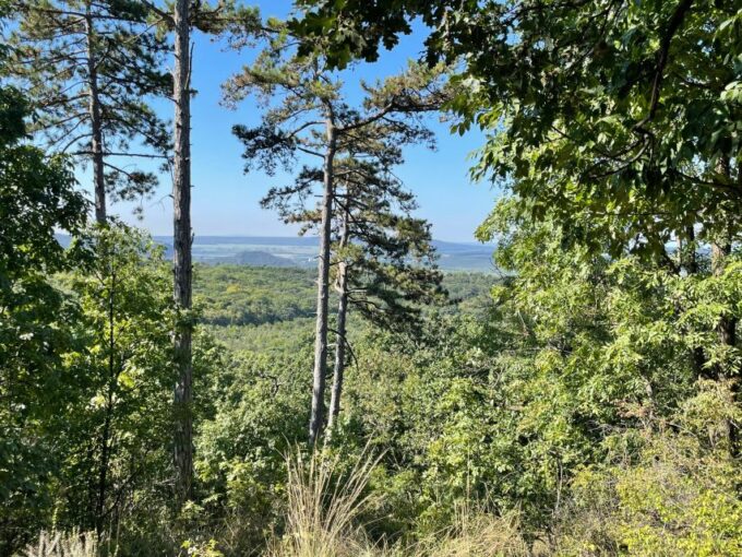 Hike, Nature & Picturesque View Over Budapest - Preparing for Your Hiking Trip