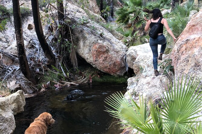 Hiking to Desert Palm Oases of San Carlos With a Biologist - Inclusions and Dining Experience