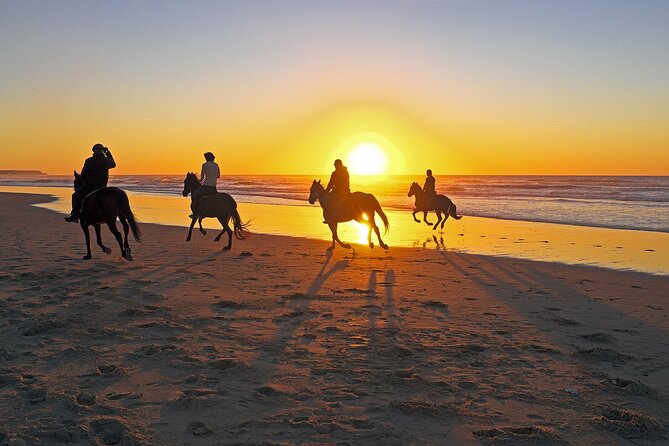 Horse Riding in Antalya,Belek,Lara Beach(Sunrise,Sunset,Day Time) - What to Expect on the Tour